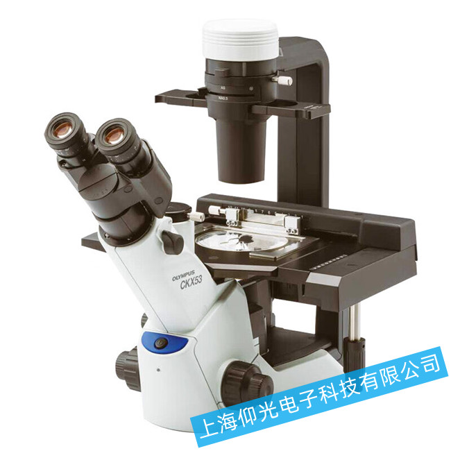 �W�ְ�˹��W(xu��)�@΢�R�o����������Ĺ��ϙz��